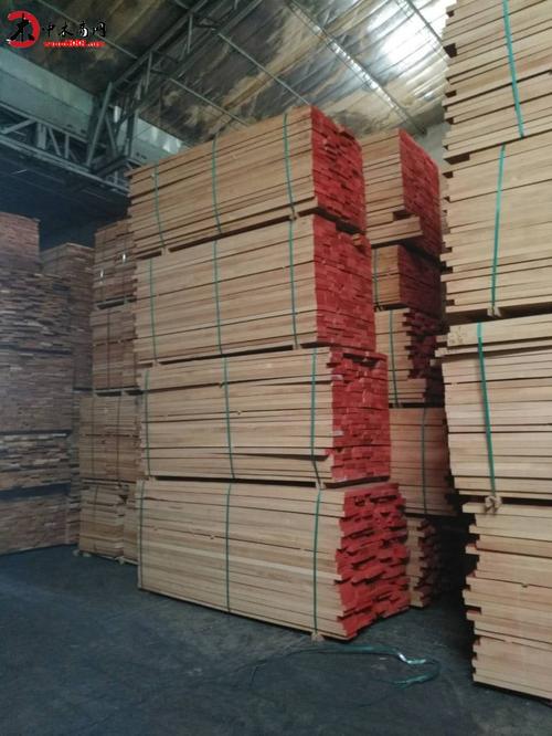 厂家直销欧洲进口榉木原木木材加工板材家具材现货榉木原木