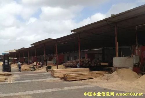 市场观察:木材加工厂开启原木年前囤货节奏-中国木业信息网产品展示