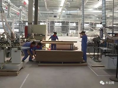 宿迁泗阳县深耕木材产业 打造板式家居生产基地